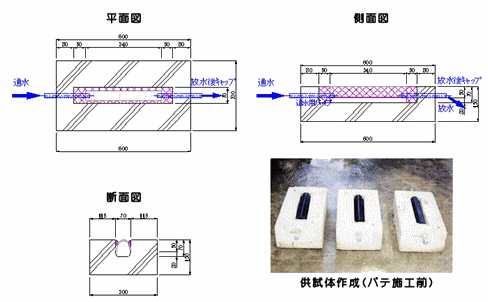 供試体